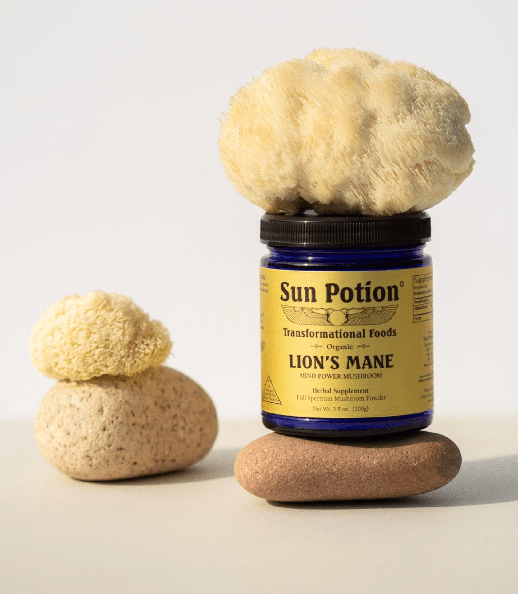 Sun PotionLion's Mane (Organic) 100 grams - M.S Skincare