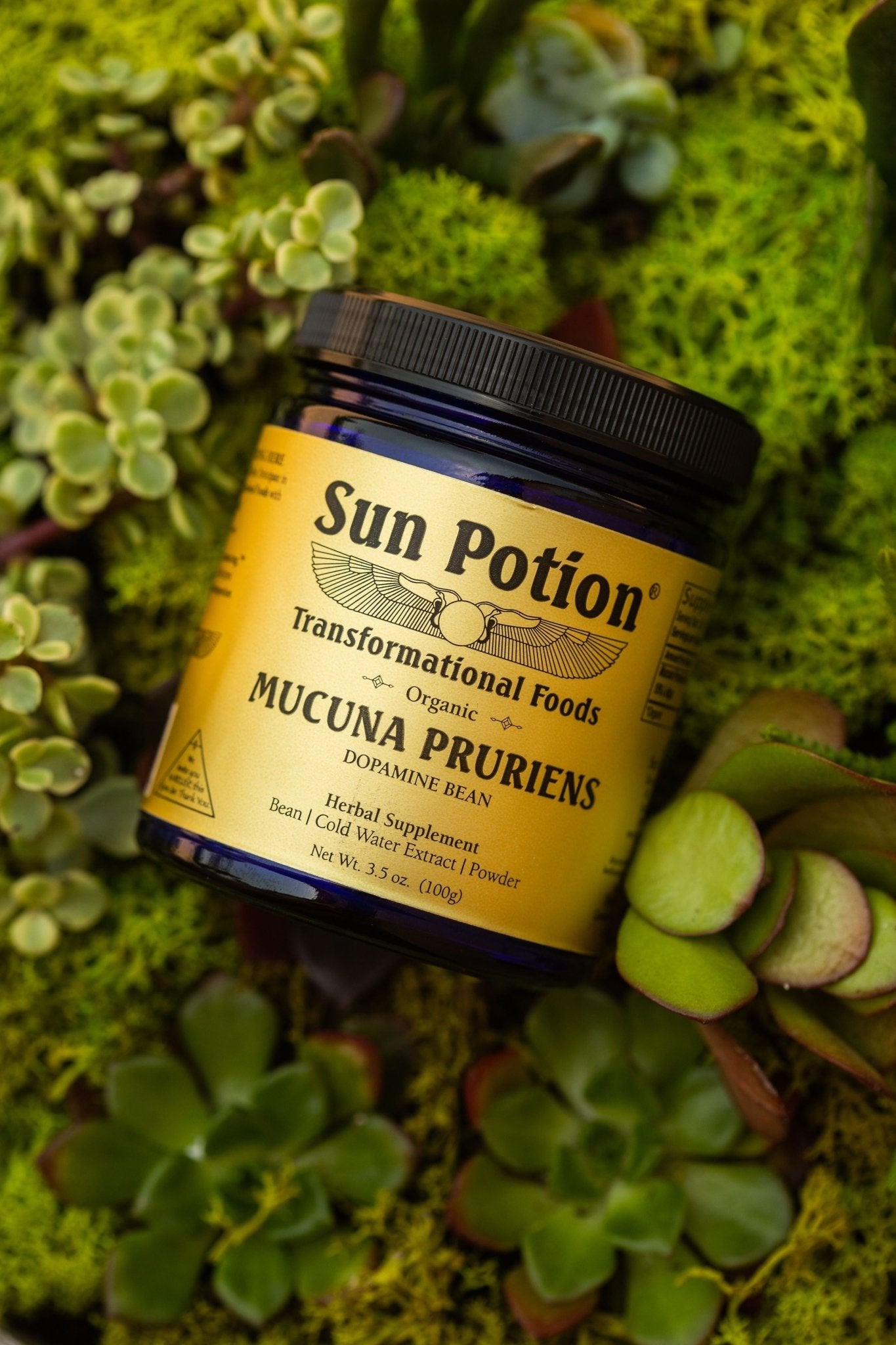 Sun PotionMucuna Pruriens Powder (Organic) - M.S Skincare